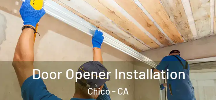  Door Opener Installation Chico - CA