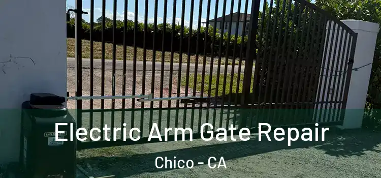 Electric Arm Gate Repair Chico - CA